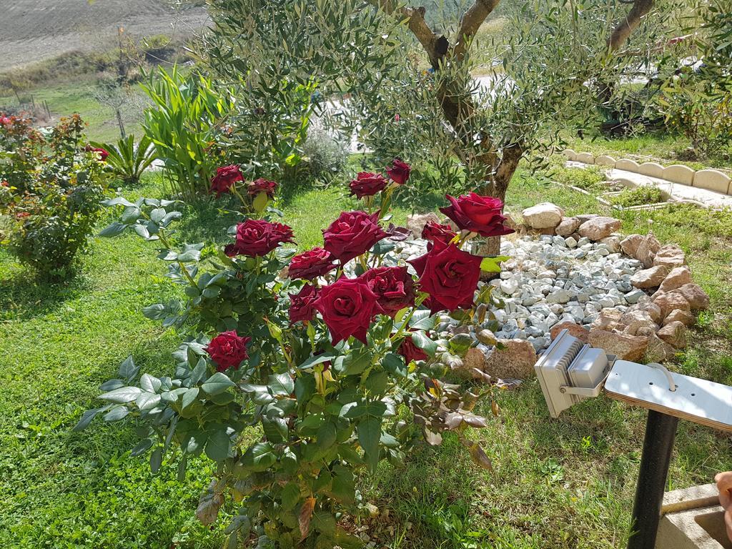 Agriturismo La Stradaccia * Ginestreto