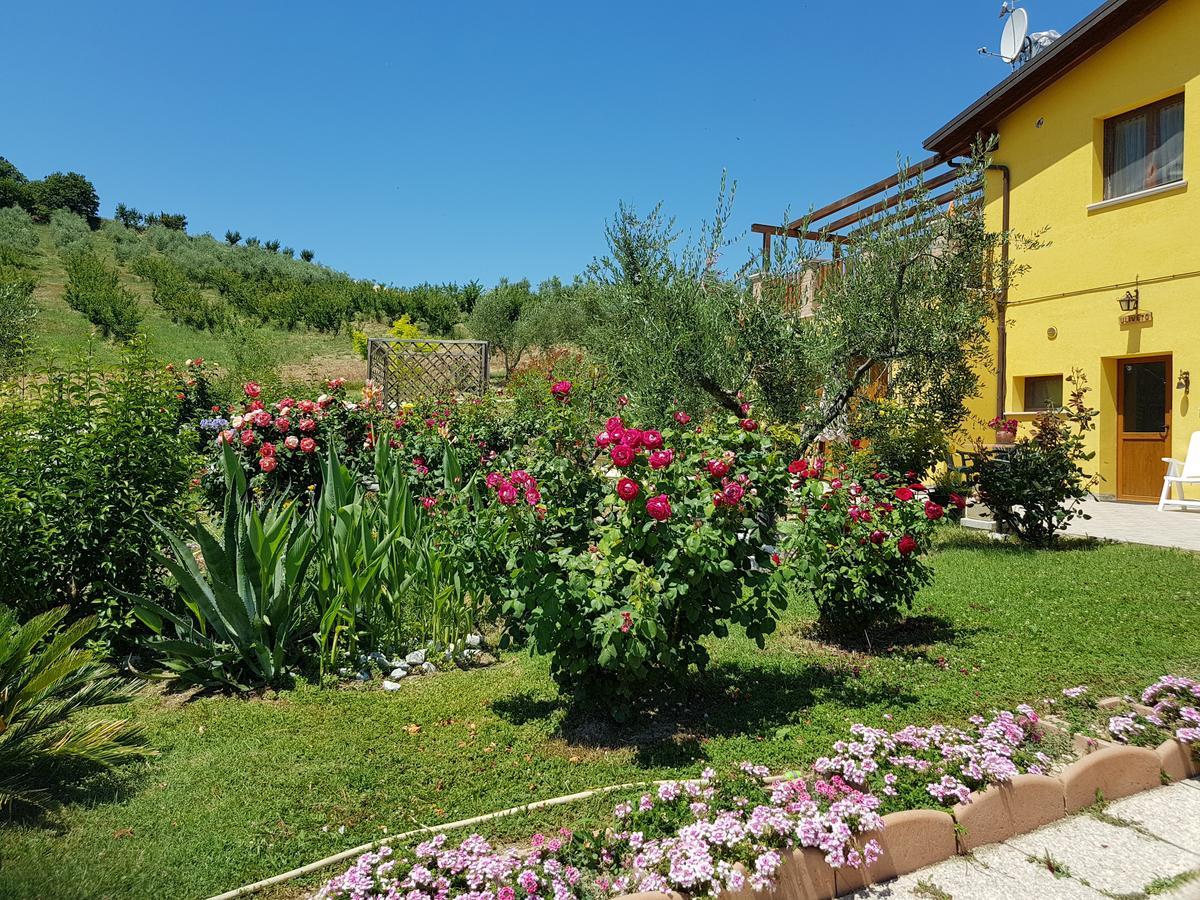 Agriturismo La Stradaccia *