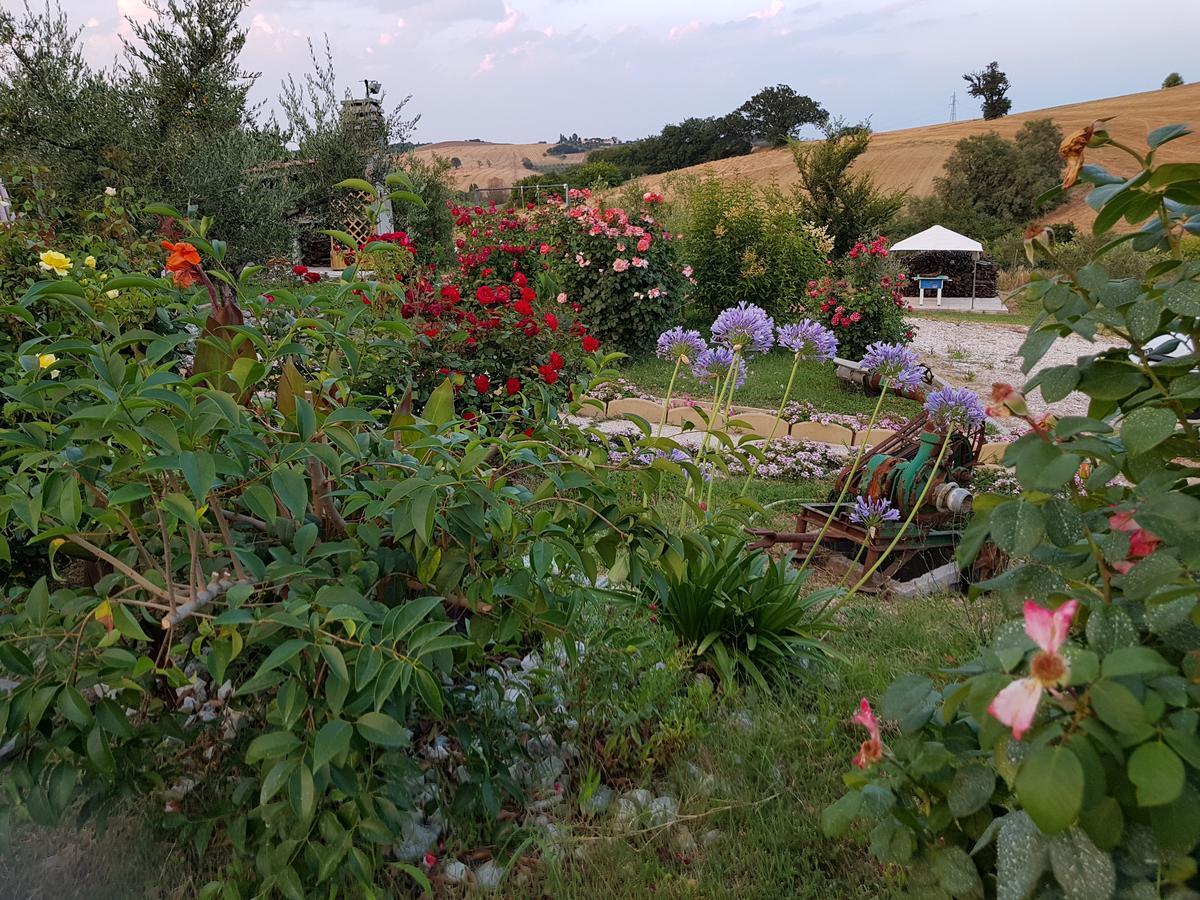 Agriturismo La Stradaccia Ginestreto