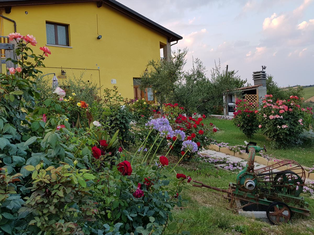 Bauernhof Agriturismo La Stradaccia